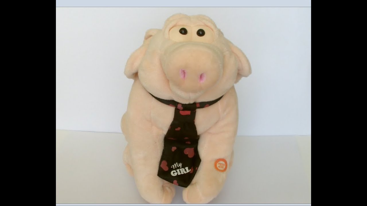Porker the Singing Pig sings 