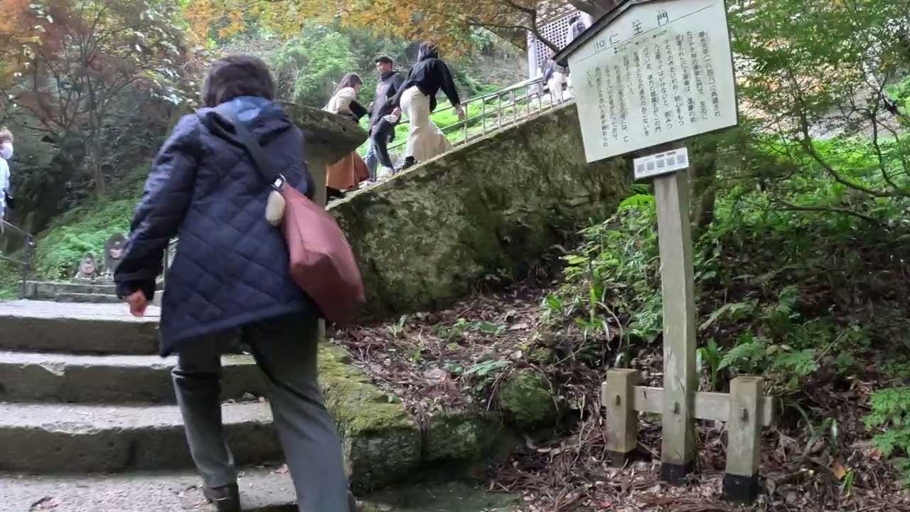 20241109 山寺
