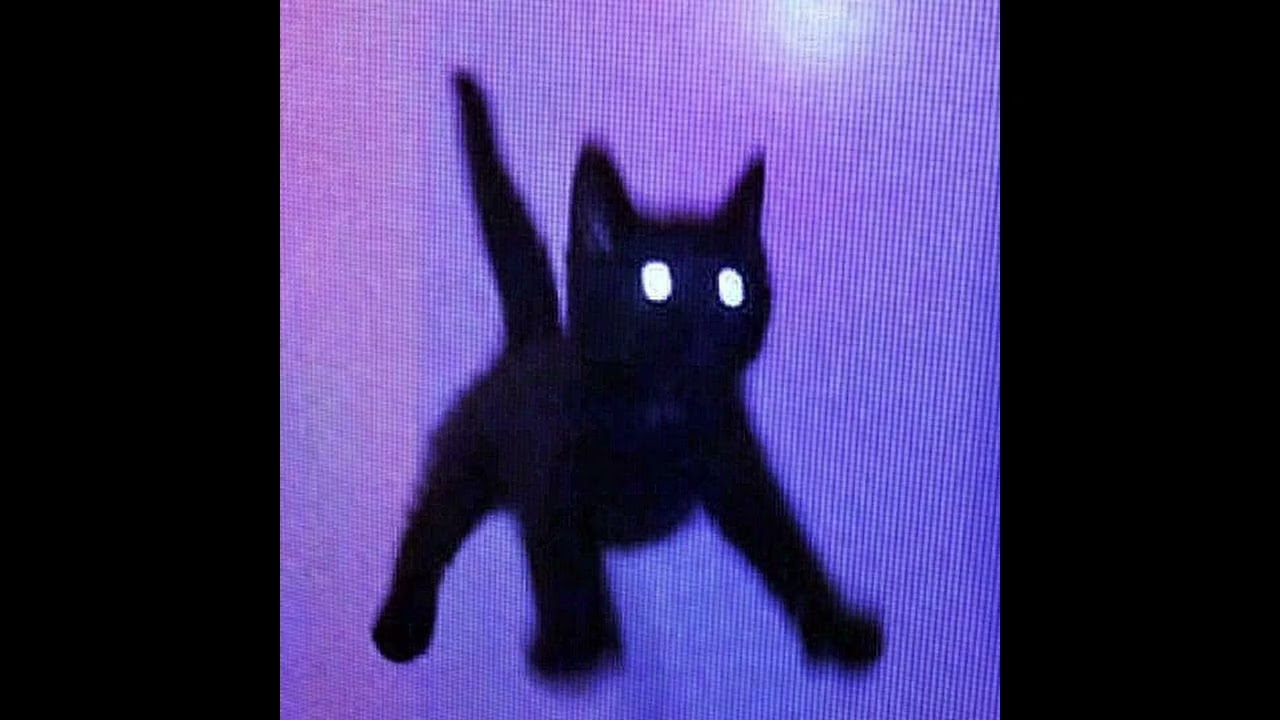 UntitledKD type beat 