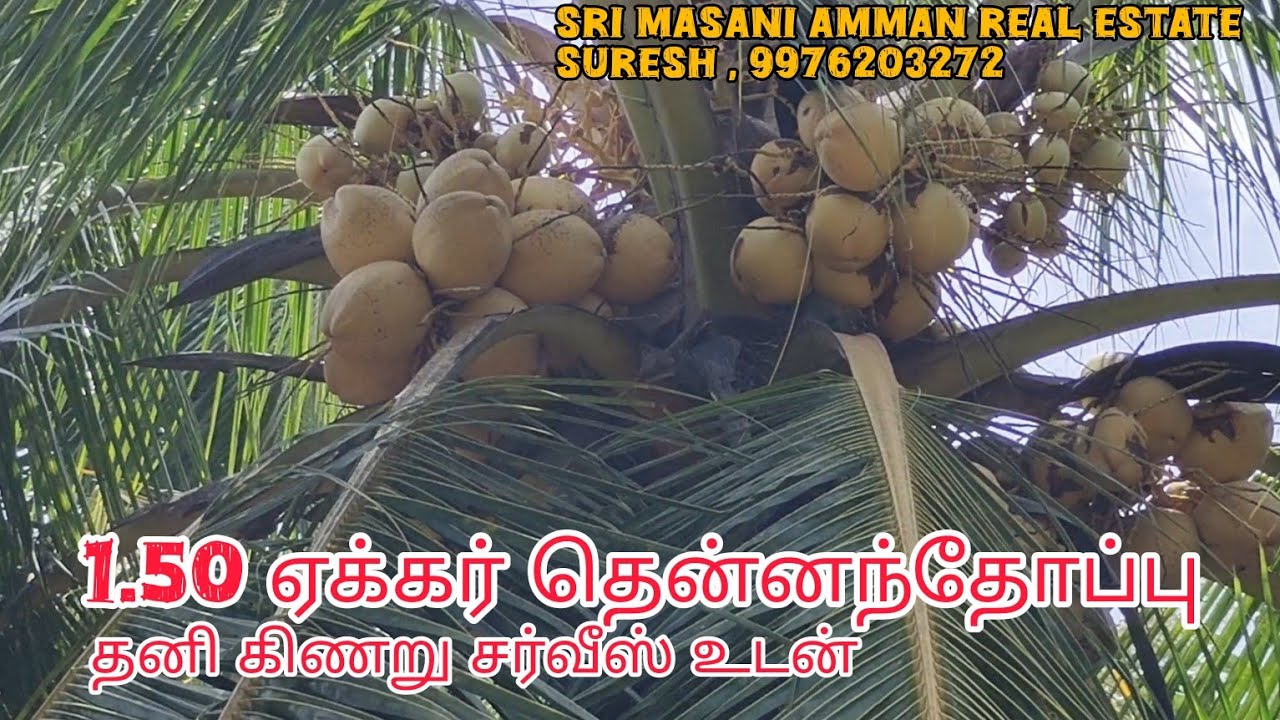 854 ) 1.50 acre farm land sale separate well 1 bore service vastu Bhoomi sale