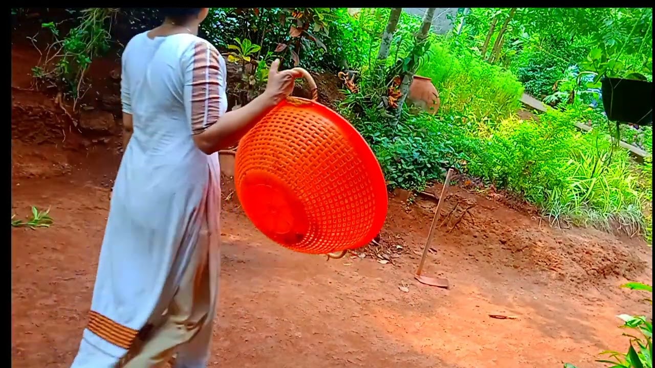 അല്പം നേരം മുറ്റത്തു 🌱🥰