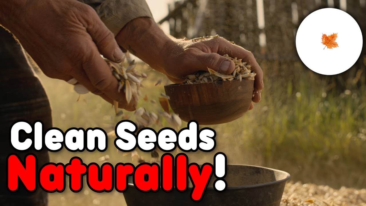 This 2000-Year-Old Seed Cleaning Trick Still Works Better Than You'd Think!