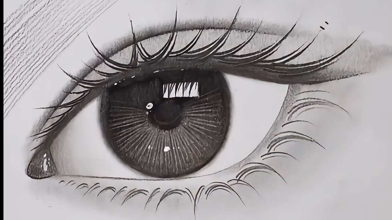 How to Draw Hyper Realistic Eyes Step by Step | Easy Way To Draw An Eye For Beginners