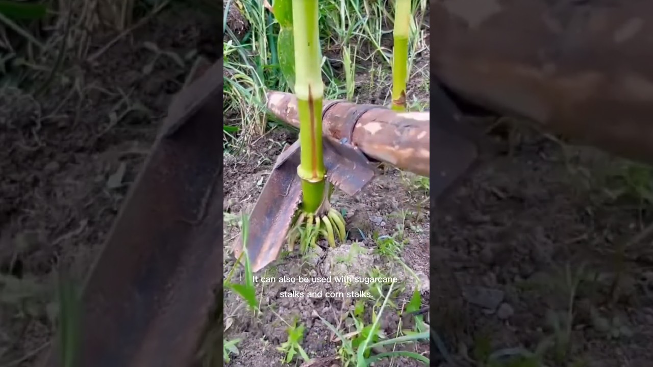 Inside Modern Farming: Incredible Machinery at Work