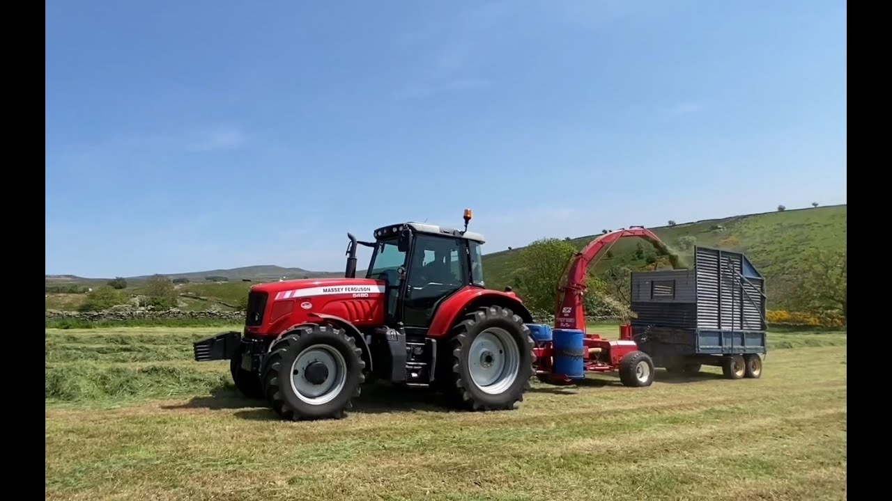 Cumbrian Silage 2023. Drag chopping with all Massey team including a 6480, 6290 & 390.