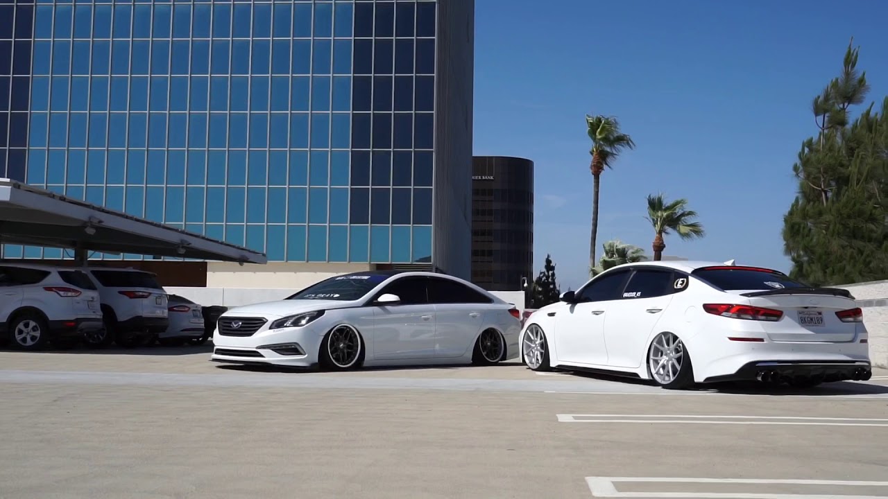 Bagged 2015 Hyundai Sonata & 2019 Kia Optima