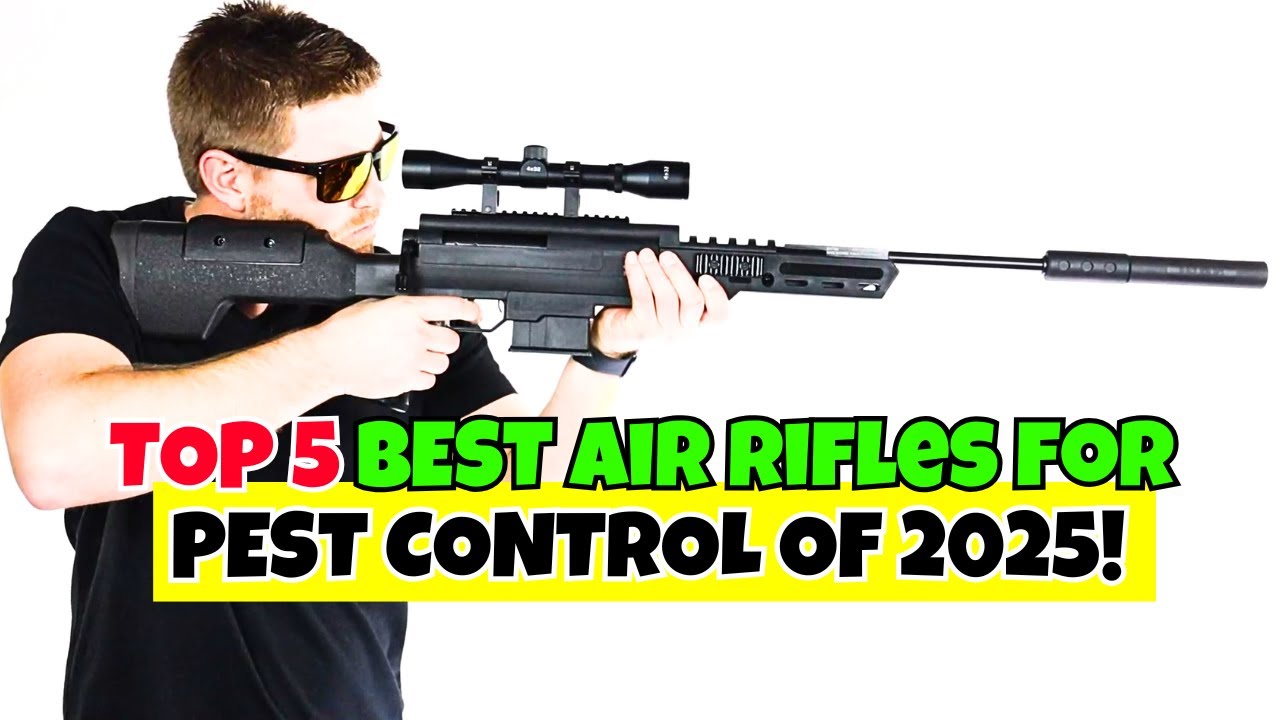 Top 5 Best Air Rifles for Pest Control Of 2025 🔥 Quiet, Powerful & Affordable!