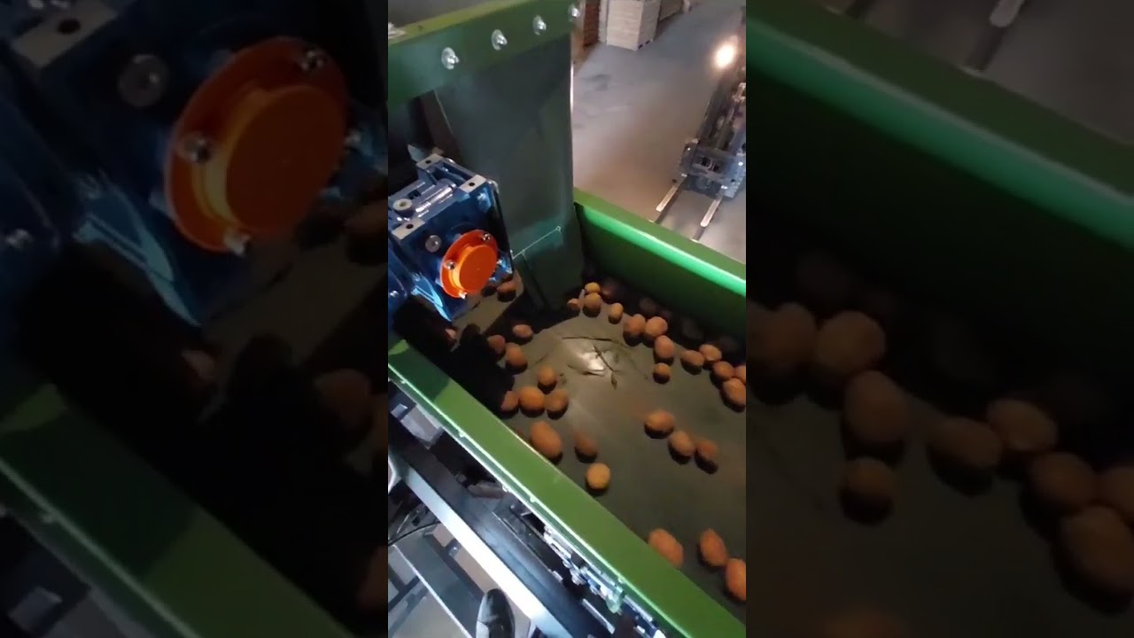 Fully automatic box filler and big-bag filler | Machines Pióro