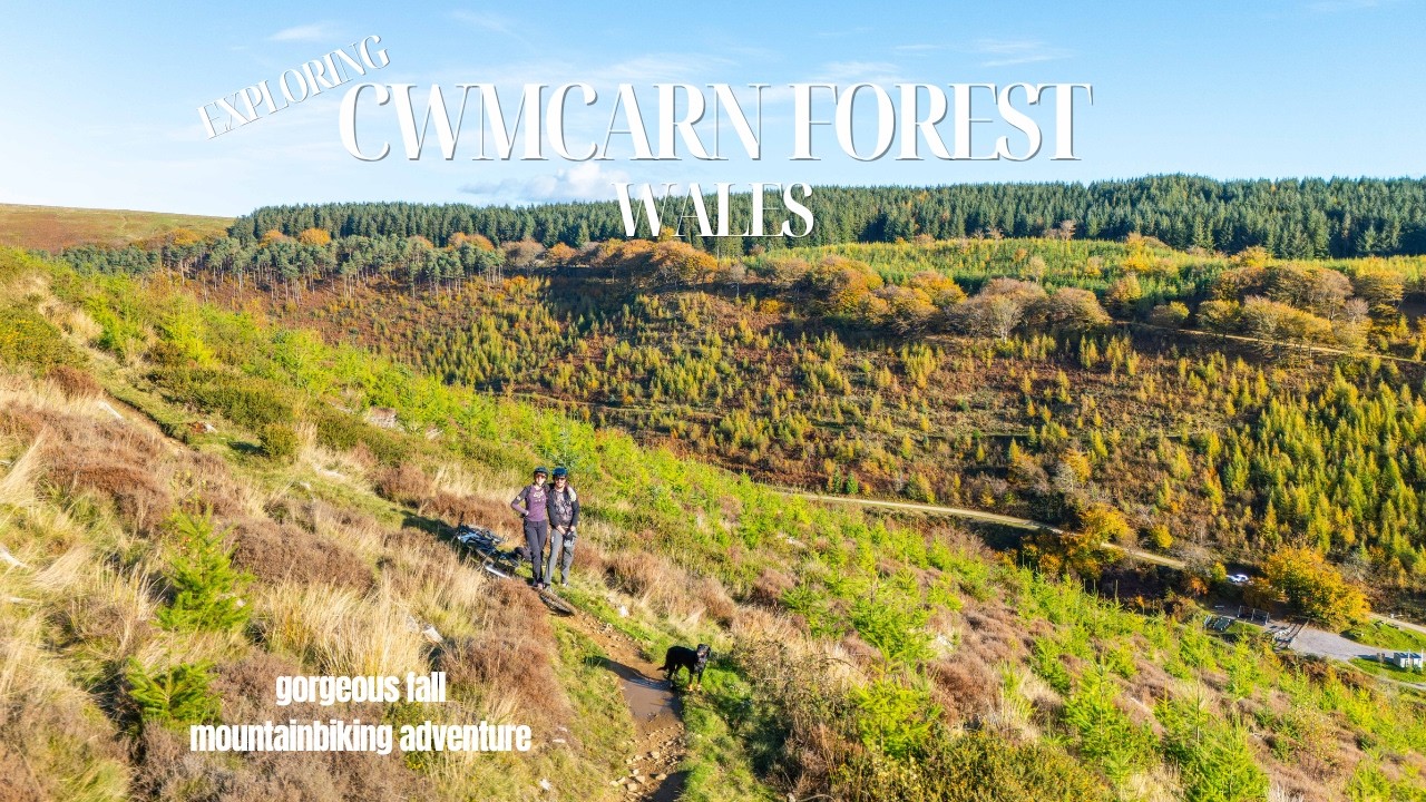 Fall Mountain biking in Cwmcarn Forest, Wales - dog friendly biking trails
