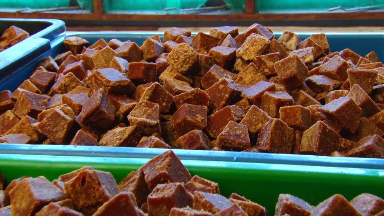 Production of Quality Cane Jaggery - Udawalawe, Sri Lanka