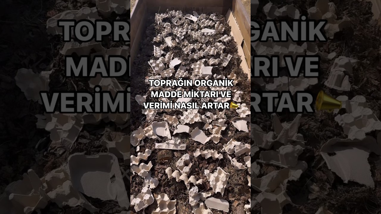 Toprağın organik madde miktarını ve verimini h&uuml;gelk&uuml;lt&uuml;r sistemi ile nasıl arttırıyoruz videomuzda