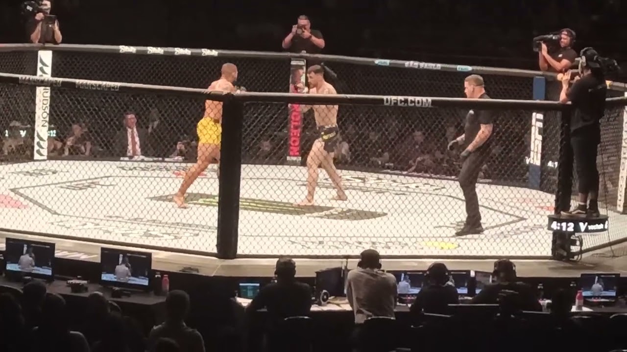 NOCAUTE DE VITOR PETRINO CONTRA MODESTAS BUKAUSKAS