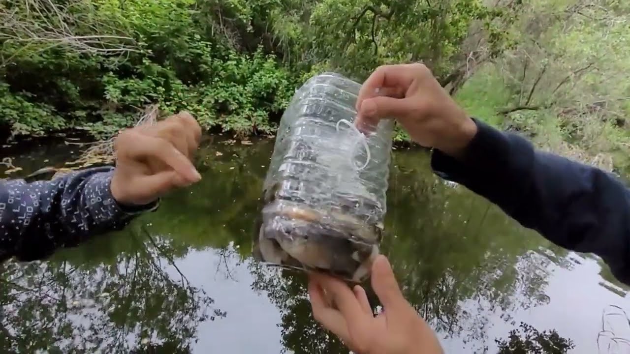 Trampa Muy Efectiva Para La Pesca En R&iacute;os Peque&ntilde;os