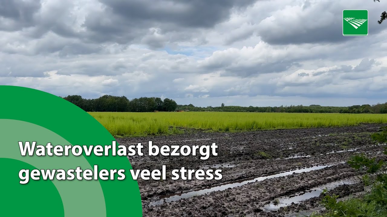 Wateroverlast bezorgt gewastelers veel stress