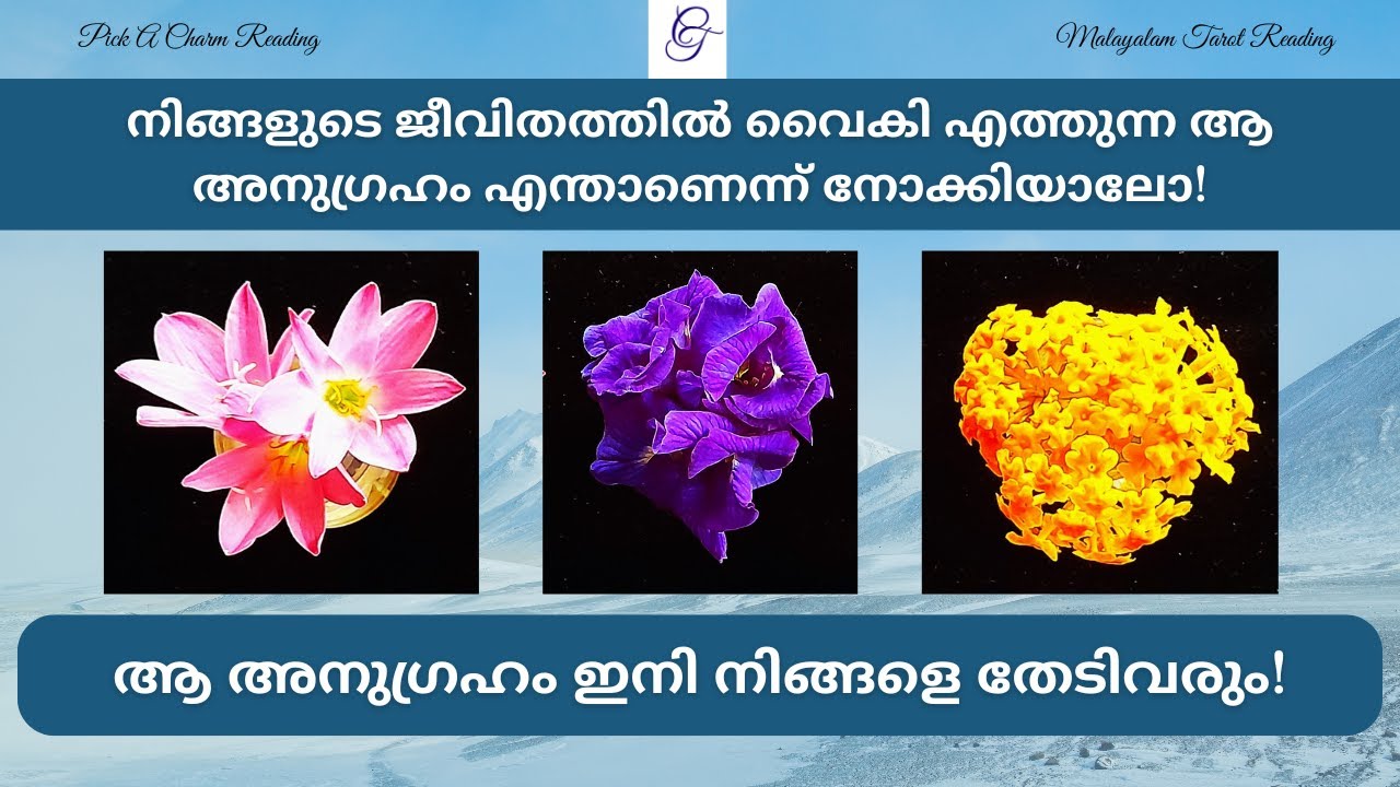 നിങ്ങളുടെ ജീവിതത്തിൽ വൈകി എത്തുന്ന ആ അനുഗ്രഹം എന്താണെന്ന് നോക്കിയാലോ! | #malayalamtarot #tarot