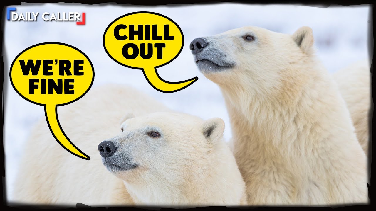 The Best Climate Predictions That Never Came True