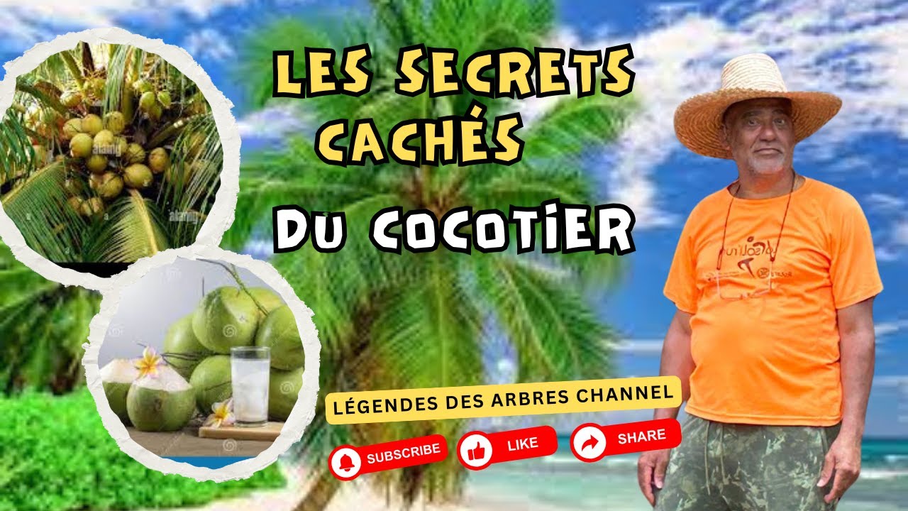 Les Secrets Cach&eacute;s du Cocotier 🌴