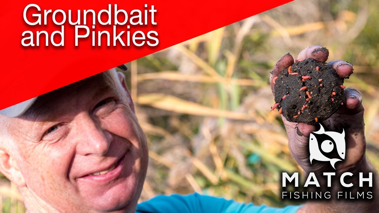 Roach bagging - river fishing with groundbait and pinkies