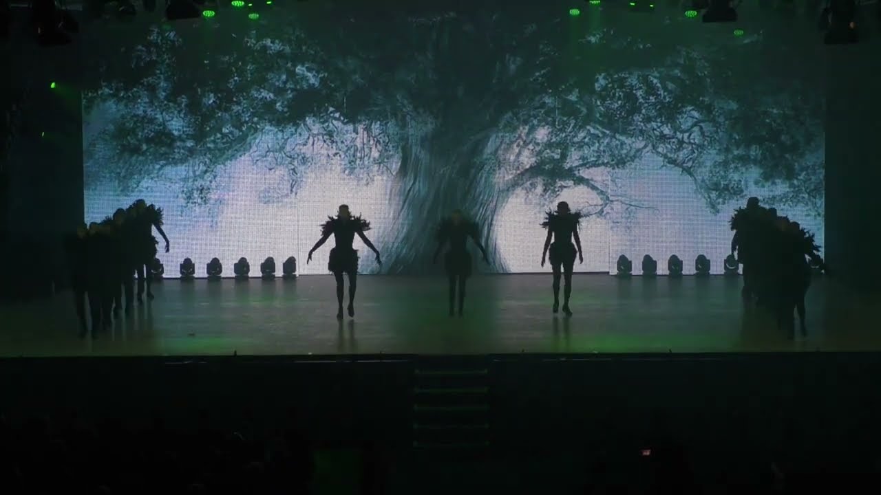 Penguin Tappers - Back on Stage 2022 - Nature Girl / Ravens