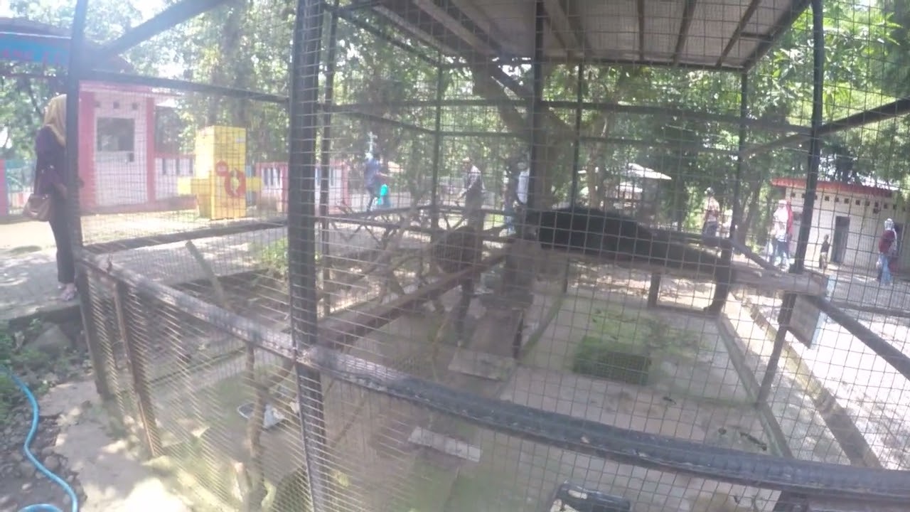 zoo 3