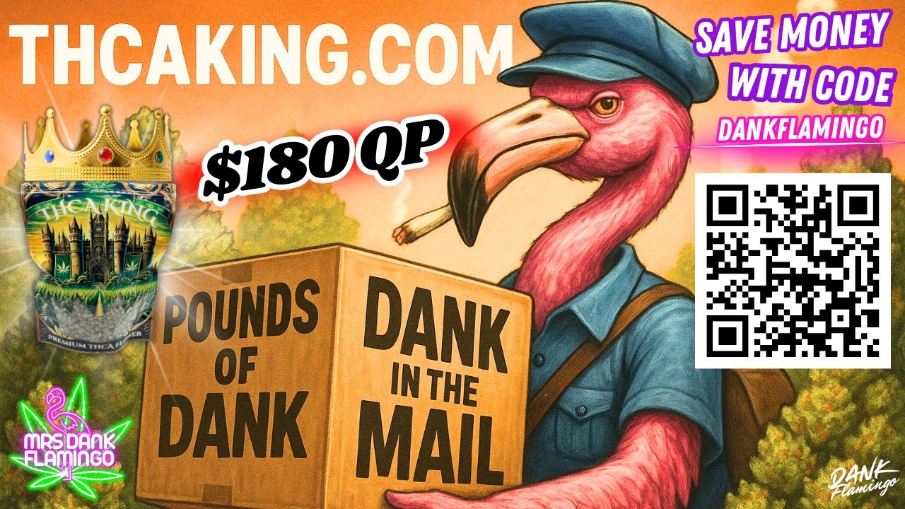 Оптовая продажа тепличного реактивного топлива QP от THCA King! Обзор Mrs Dank Flamingo!