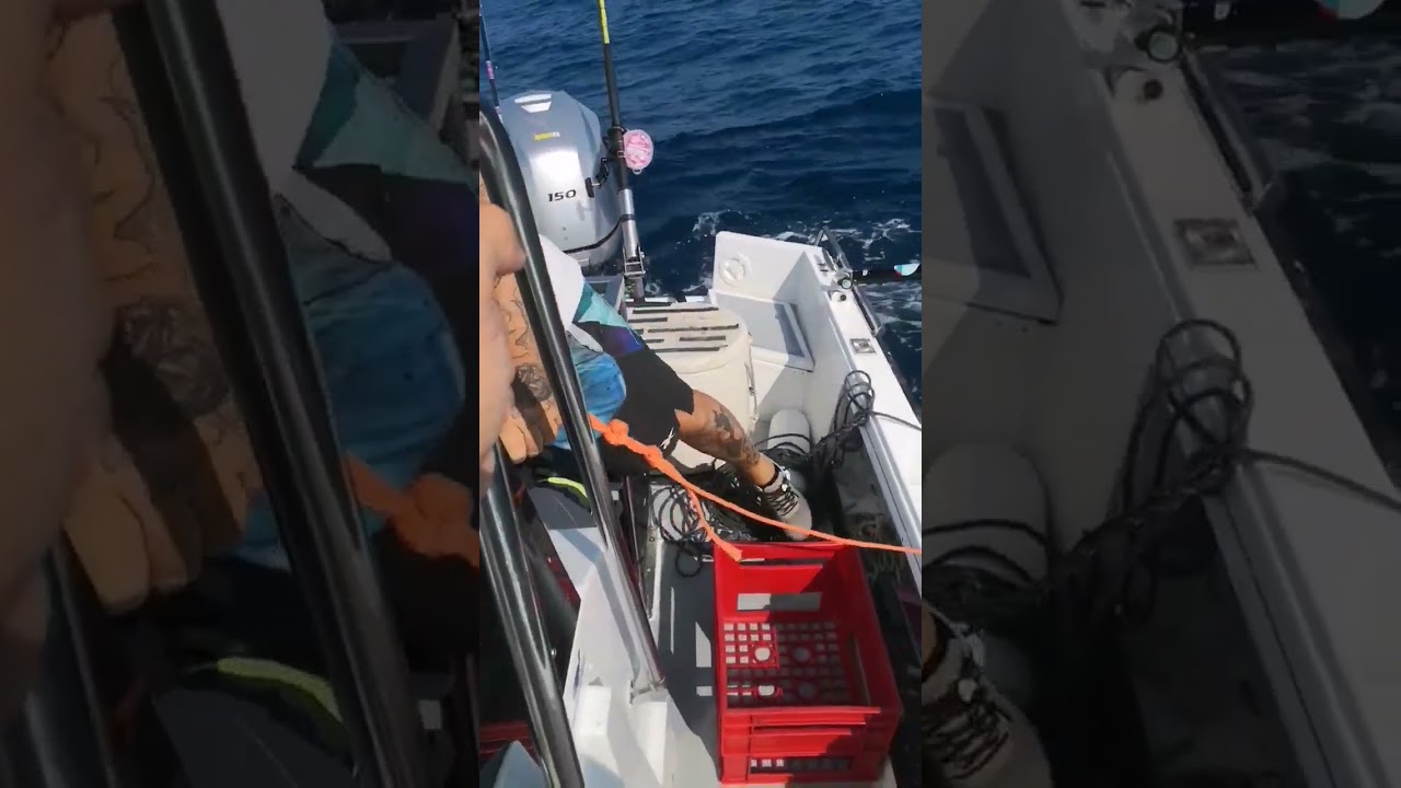Paracadute da pesca e come calarlo facilmente
