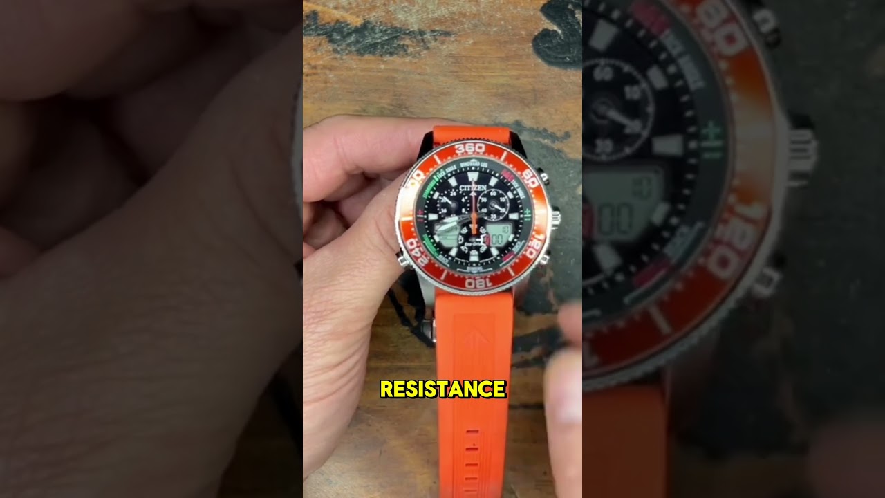 Citizen Sail Hawk!