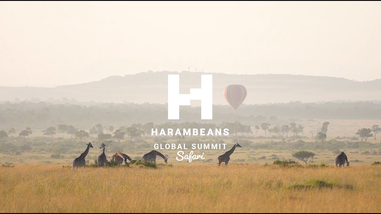 Harambeans - Proudly African, Solving African Problems