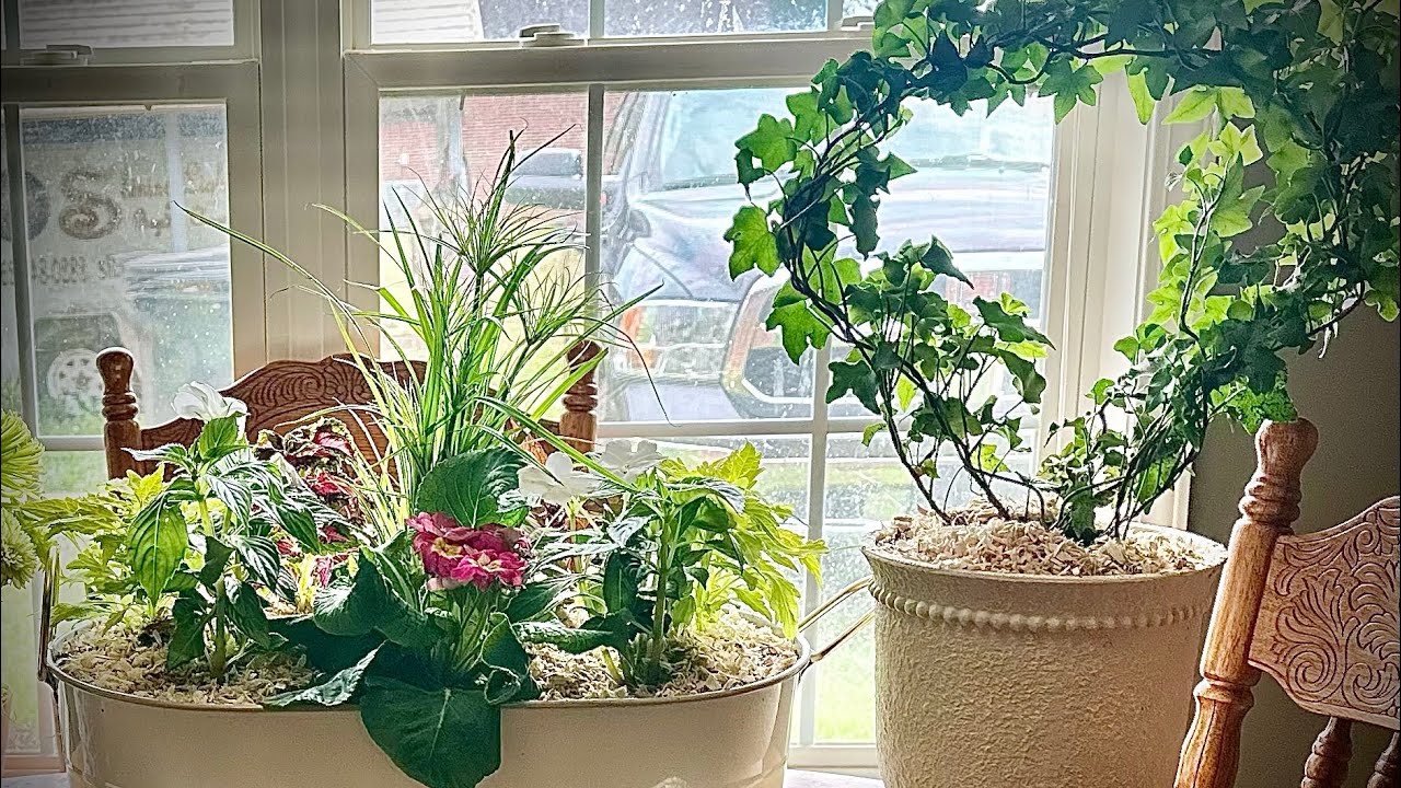 Early Spring Planter for March | Coleus, Primrose, SunPatiens & Prince Tut Grass 💚🪴