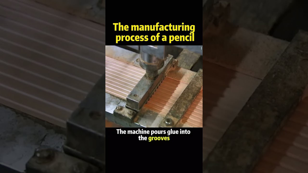 Do you know how they get the lead inside a pencil? Part 1 #shortvideo#shorts#manufacturing#pencil