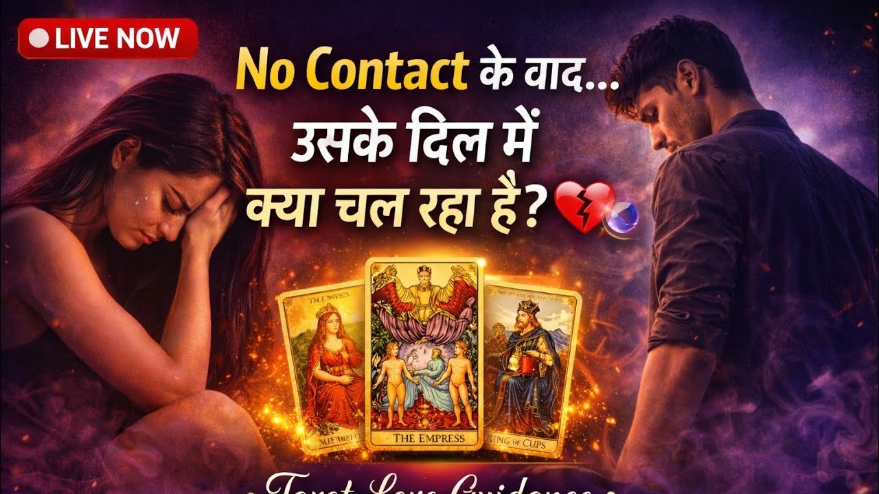 divine tarot 666 is live!#free tarot card reading#no contact#next action#current feelings#viraltarot