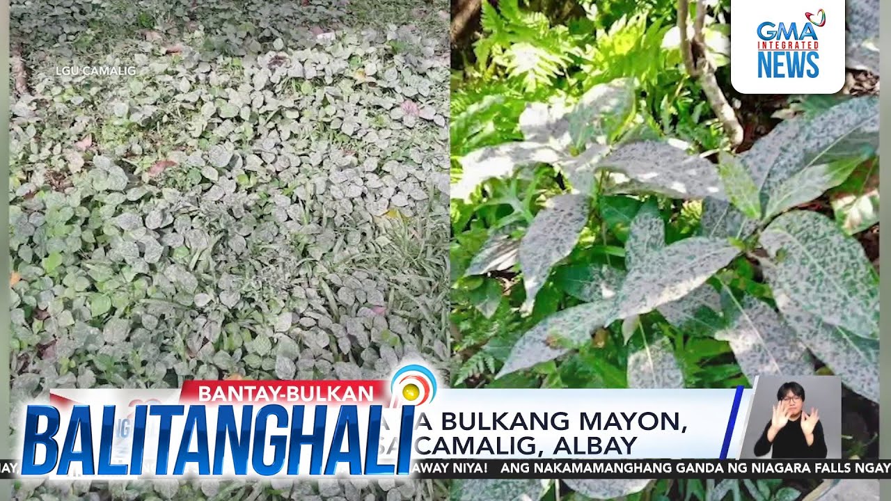 Ashfall mula sa Bulkang Mayon, naranasan sa Camalig, Albay | Balitanghali