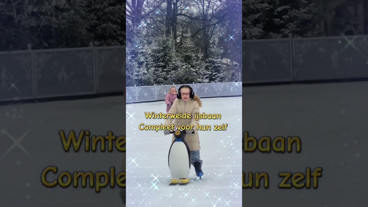 POV: als winterweide Efteling leeg is