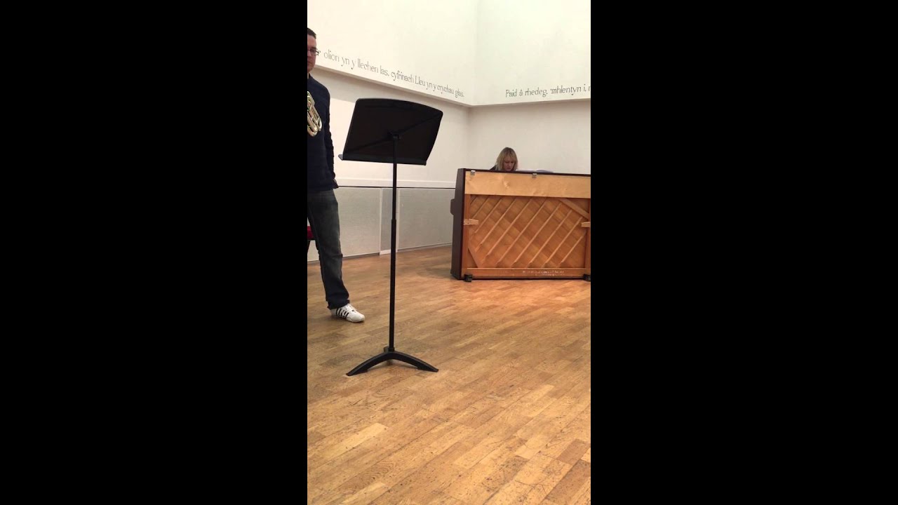 Demelza Tenor Horn
