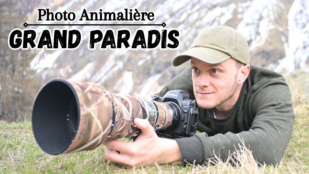 Photo Animalière dans les Alpes Italiennes