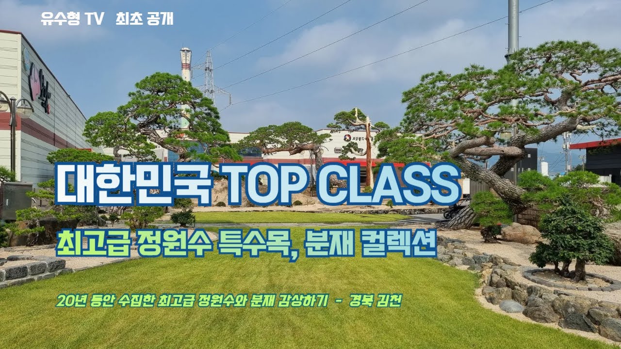 유수형TV 최초공개 - 대한민국 TOP CLASS 정원수와 분재 감상하기 / 20년동안 수집한 최고급 나무들...#정원수특수목 #최고급분재 #소나무특수목 #향나무특수목 #정원