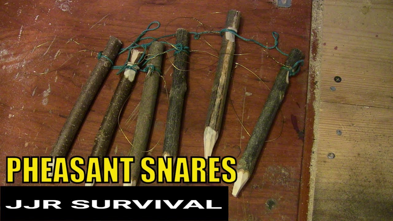 Pheasant Snares