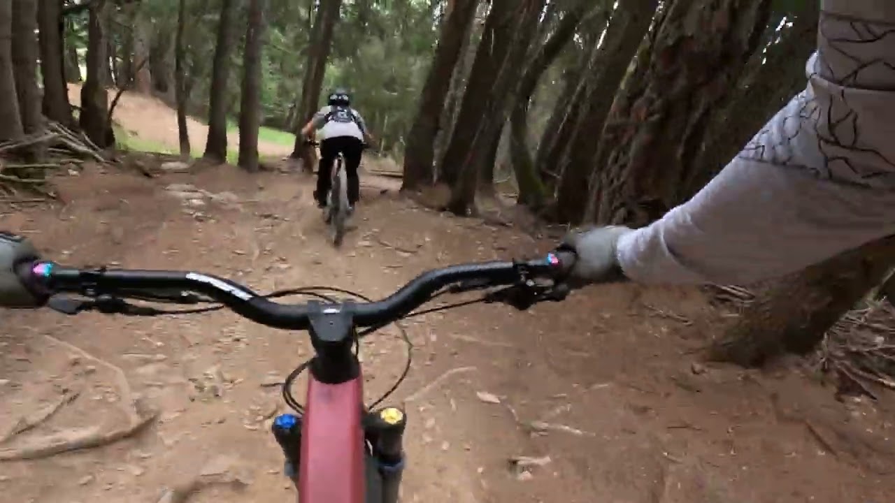 Black line Crans Montana bike park 👌