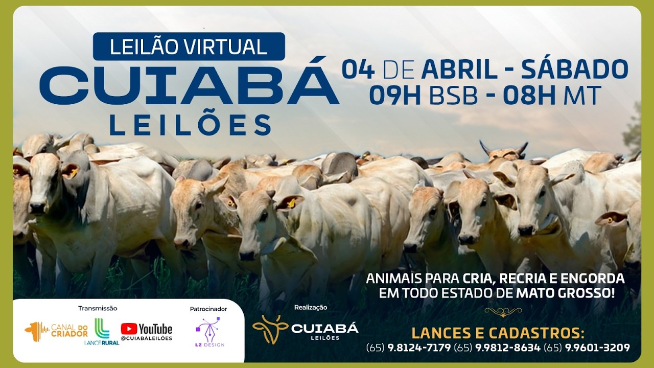 126&deg; LEIL&Atilde;O VIRTUAL CUIAB&Aacute; LEIL&Otilde;ES 04-04-2026.