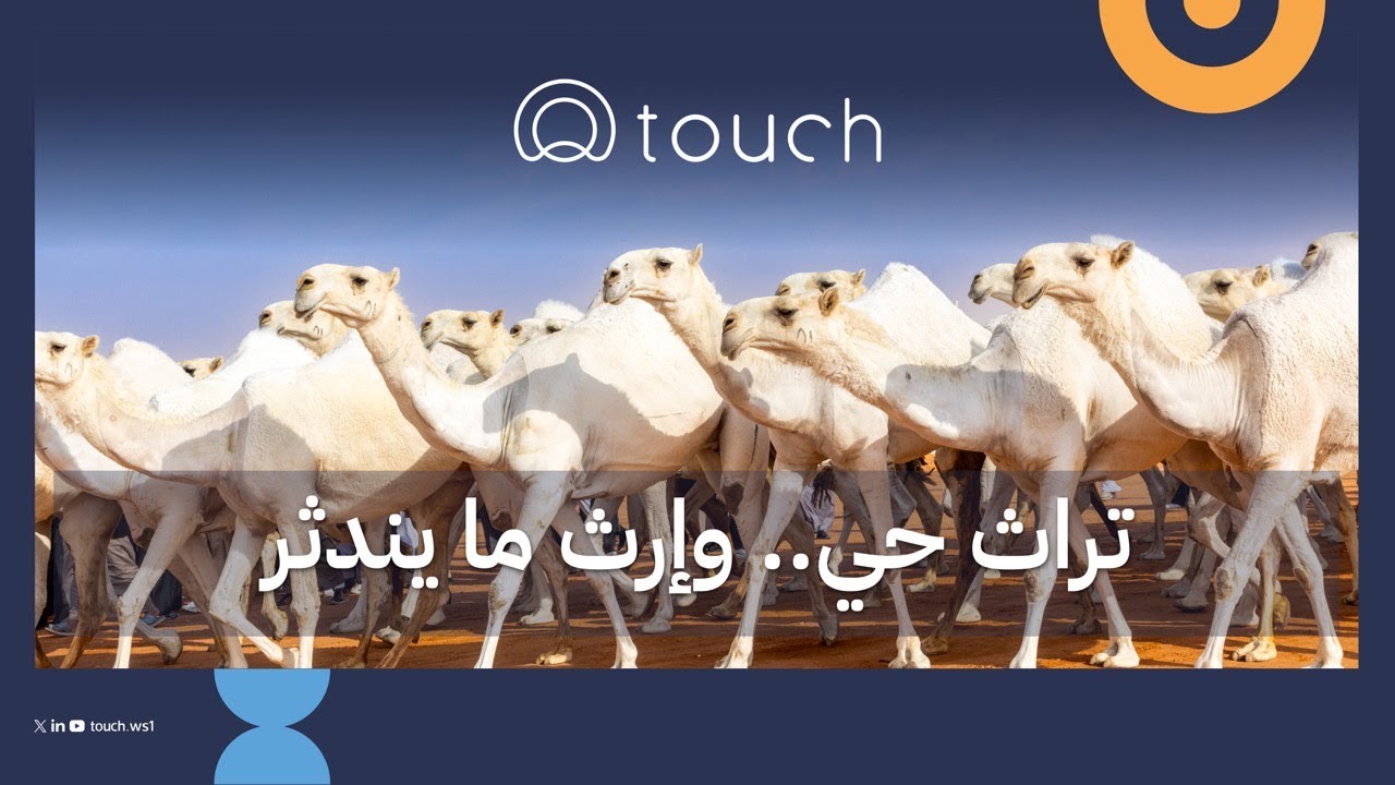 تاتش في اليوم العالمي للإبل | 2025