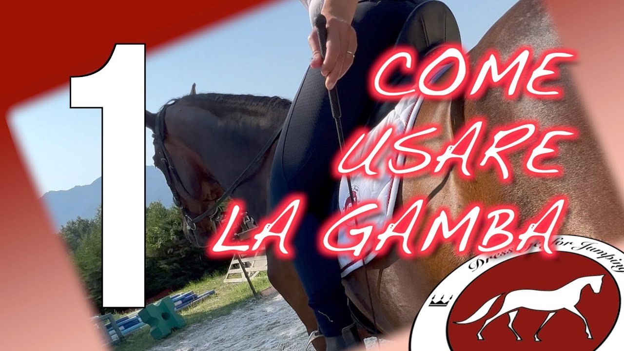 #dressageforjumping uso della gamba - parte 1
