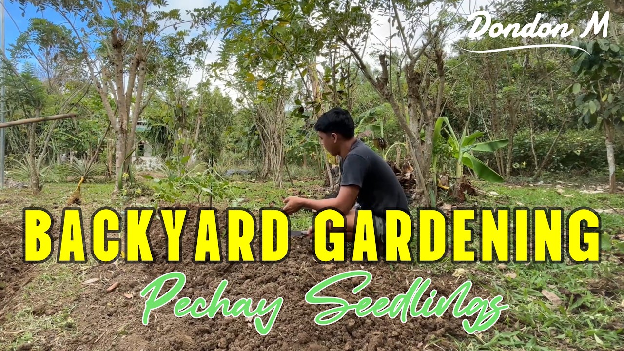 Backyard Gardening🌿 | Pechay Seedlings & Family Vlog 🌱