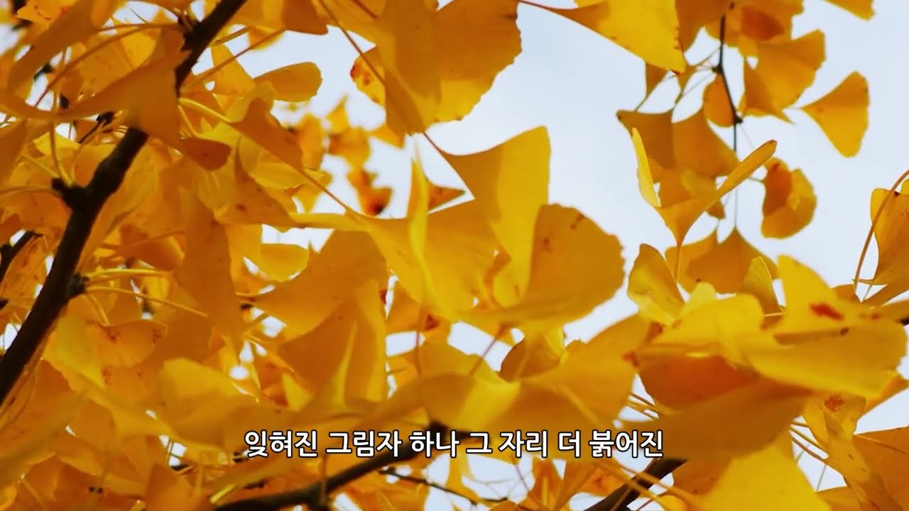 한국현대시조가곡II_은행나무 아래 우체통_작시 김임순/작곡 최현석/소프라노 송정아/피아노 박노훈