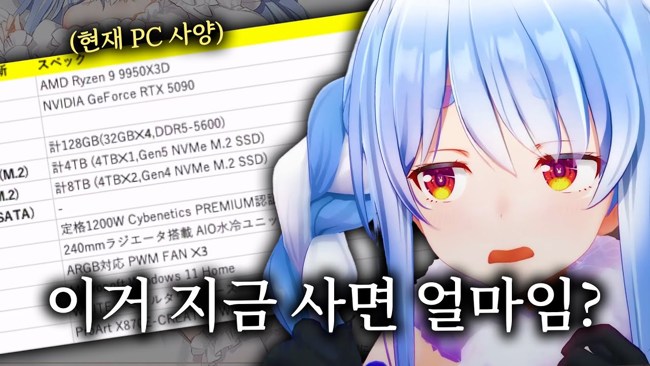 실례가 아니라면 램 하나만 어떻게 좀【홀로라이브 // 우사다 페코라】