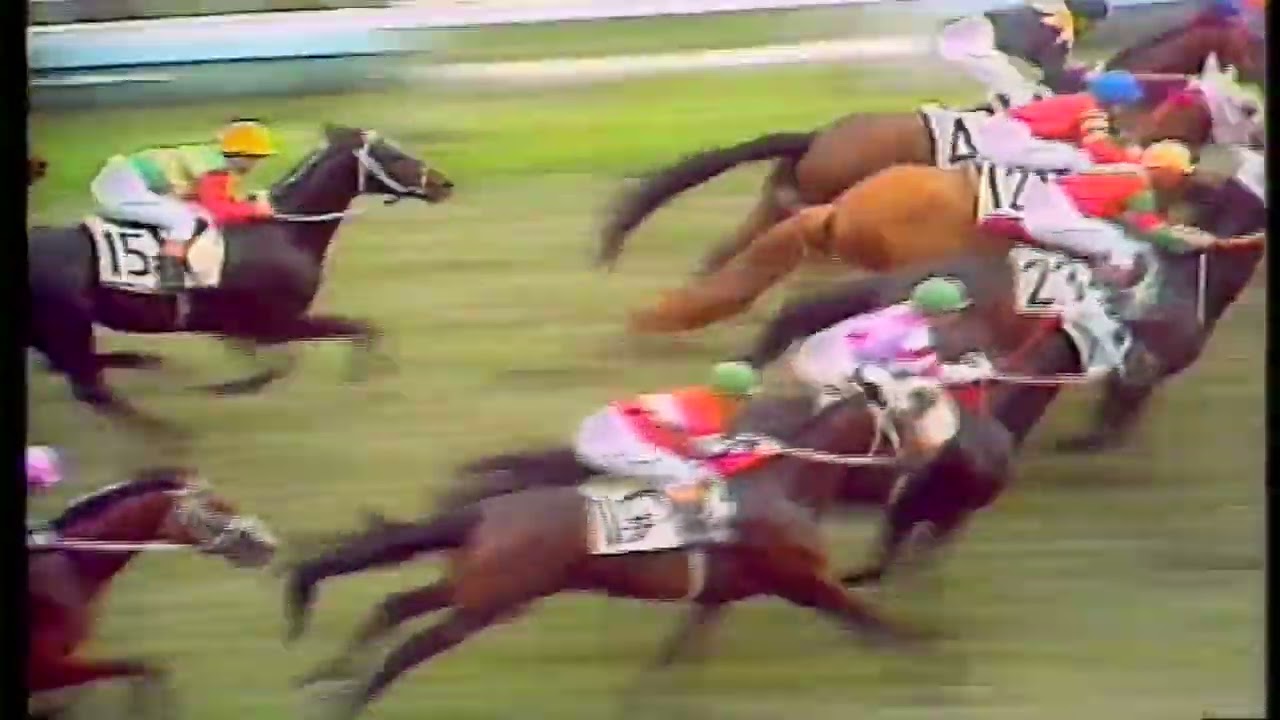 1971年　日本ダービー　ヒカルイマイ