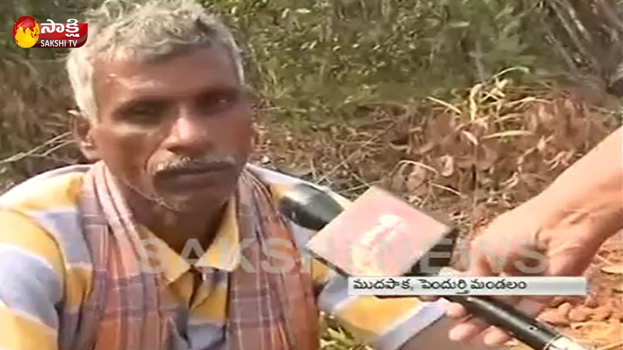 Land Mafia grabbing Lands in Pendurthi, Vizag || Andhra Pradesh