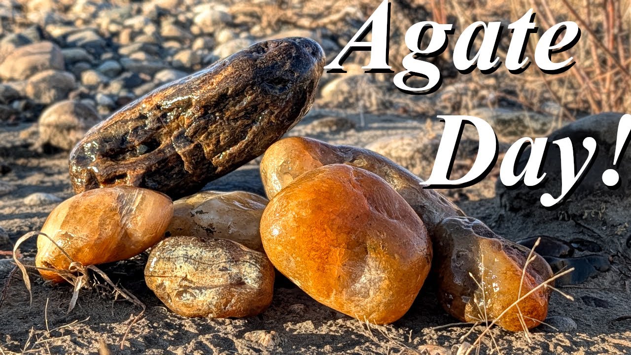 A Day for Agates! A Warm Fall Rock Hunt Leads to Montana Agates, Plume Agate, Petrified Wood & More!