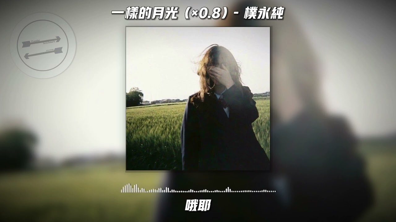 一样的月光（&times;0.8） - 朴永纯『一样的月光 怎么看得我越来越心慌』【動態歌詞】
