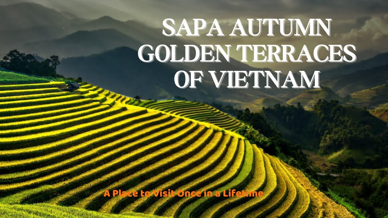 FlyOver Vietnam -  Autumn Rice Terraces in Northwest Vietnam | Serene Drone View + Music Relax