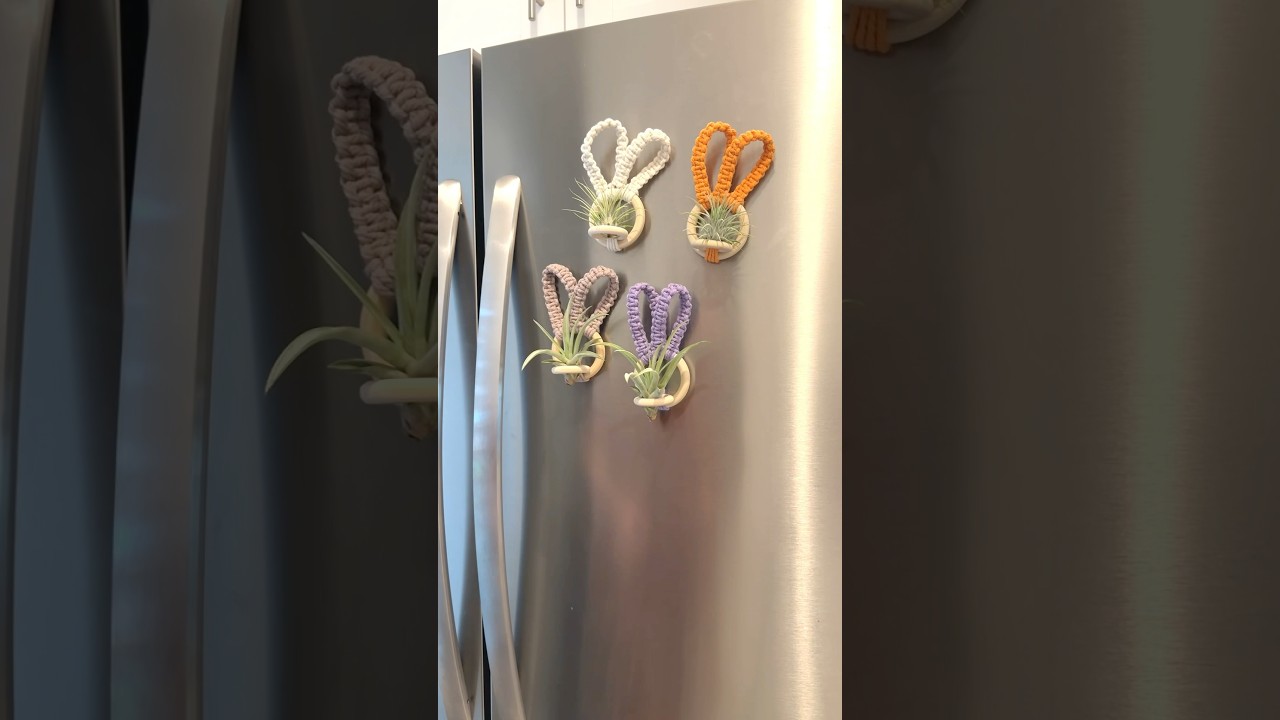 How do you like this new magnetic air plant holder idea? Now available in my shop💚
